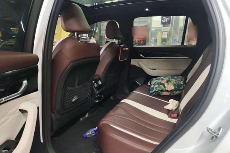 Used Geely Auto Monjaro L 2021 2.0TD DCT EVO Two-Wheel Drive Prestige Version Left Rear Seat