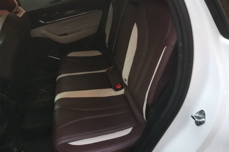 Used Geely Auto Monjaro L 2021 2.0TD High-Power Automatic All-Wheel-Drive Flagship Version Left Rear Seat