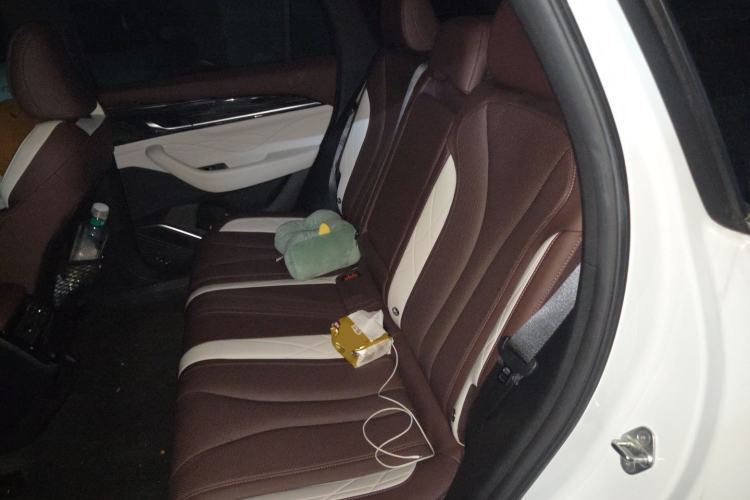 Used Geely Auto Monjaro L 2021 2.0TD DCT EVO Two-Wheel Drive Smart Luxury Version Left Rear Seat