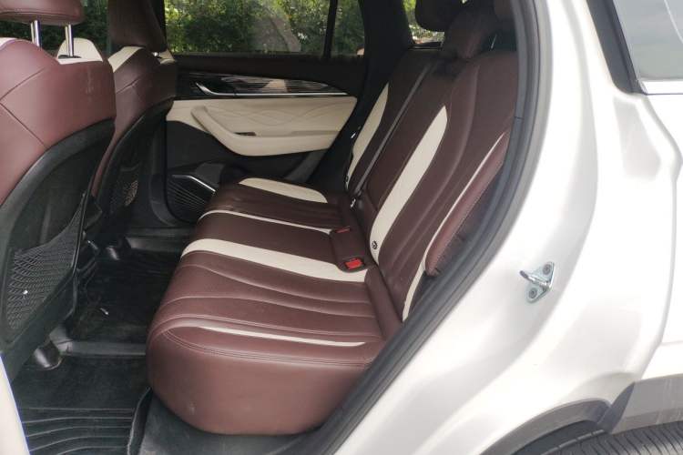 Used Geely Auto Monjaro L 2021 2.0TD DCT EVO Two-Wheel Drive Prestige Version Left Rear Seat