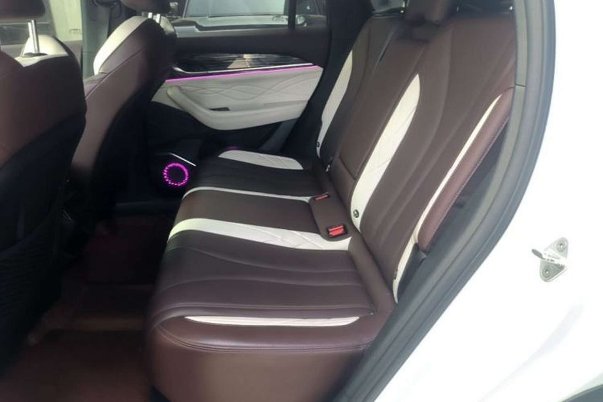 Used Geely Auto Monjaro L 2021 2.0TD DCT EVO Two-Wheel Drive Prestige Version Left Rear Seat