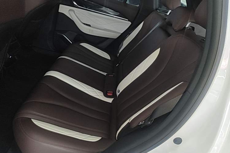 Used Geely Auto Monjaro L 2021 2.0TD DCT EVO Two-Wheel Drive Prestige Version Left Rear Seat