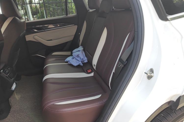 Used Geely Auto Monjaro L 2021 2.0TD DCT EVO Two-Wheel Drive Smart Luxury Version Left Rear Seat