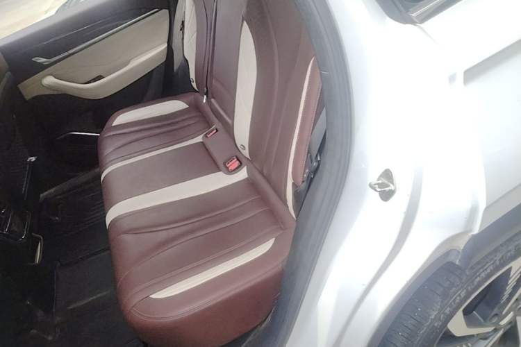 Used Geely Auto Monjaro L 2021 2.0TD DCT EVO Two-Wheel Drive Smart Luxury Version Left Rear Seat