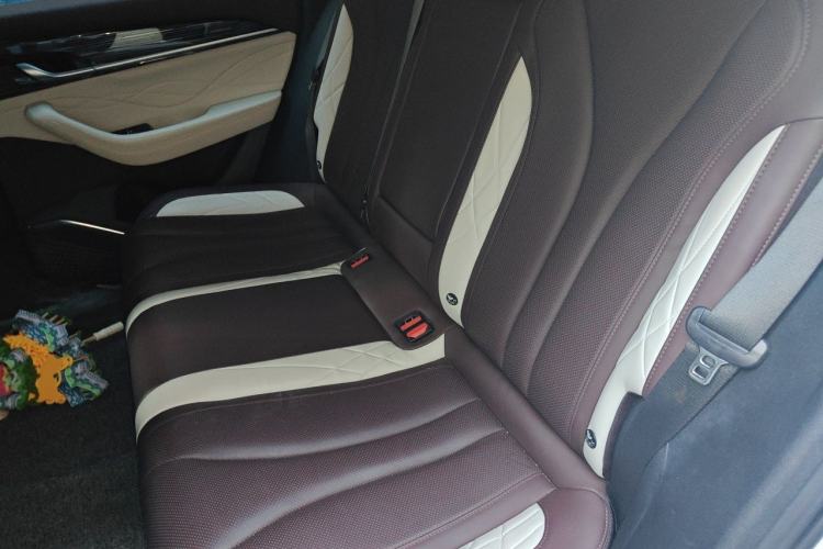Used Geely Auto Monjaro L 2021 2.0TD DCT EVO Two-Wheel Drive Prestige Version Left Rear Seat