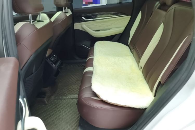Used Geely Auto Monjaro L 2021 2.0TD DCT EVO Two-Wheel Drive Prestige Version Left Rear Seat
