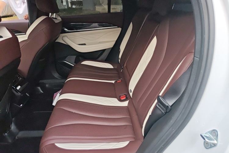 Used Geely Auto Monjaro L 2021 2.0TD DCT EVO Two-Wheel Drive Prestige Version Left Rear Seat