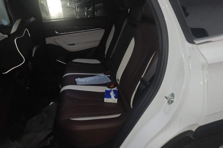 Used Geely Auto Monjaro L 2021 2.0TD DCT EVO Two-Wheel-Drive Flagship Version Left Rear Seat