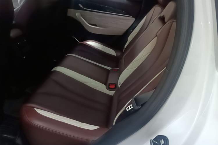 Used Geely Auto Monjaro L 2021 2.0TD DCT EVO Two-Wheel Drive Smart Luxury Version Left Rear Seat