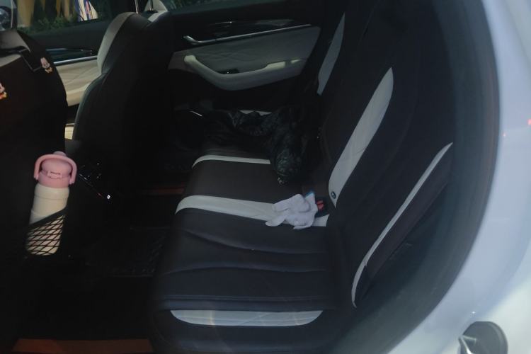 Used Geely Auto Monjaro L 2021 2.0TD DCT EVO Two-Wheel Drive Prestige Version Left Rear Seat