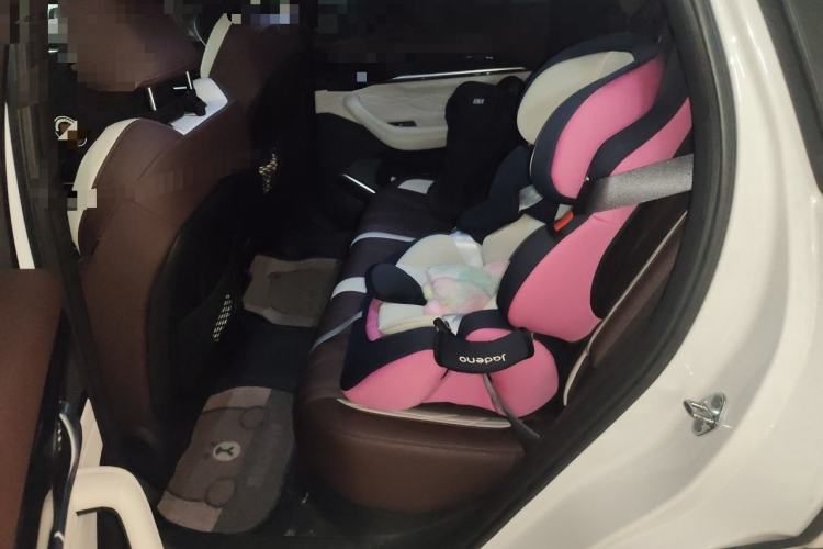 Used Geely Auto Monjaro L 2021 2.0TD DCT EVO Two-Wheel Drive Prestige Version Left Rear Seat