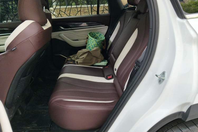 Used Geely Auto Monjaro L 2021 2.0TD DCT EVO Two-Wheel Drive Smart Luxury Version Left Rear Seat