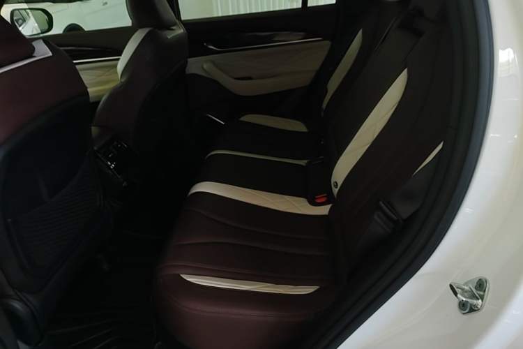 Used Geely Auto Monjaro L 2021 2.0TD High-Power Automatic All-Wheel Drive Luxury Version Left Rear Seat