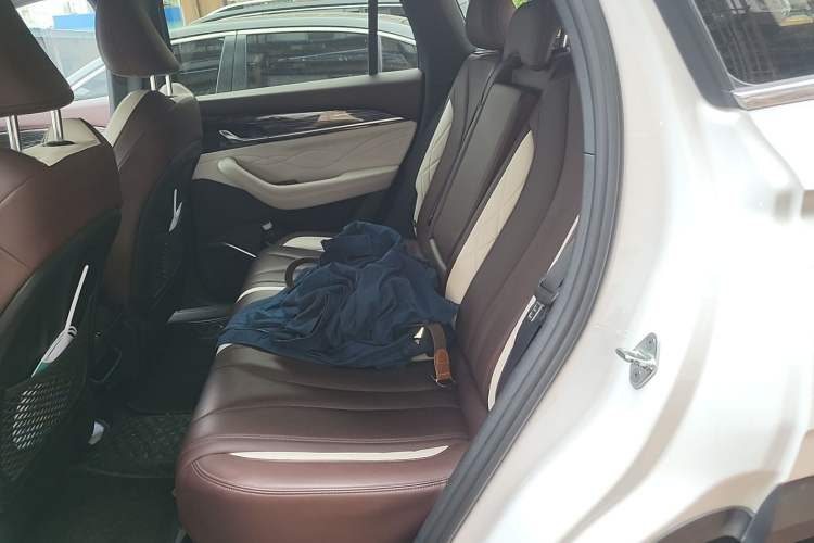 Used Geely Auto Monjaro L 2021 2.0TD DCT EVO Two-Wheel-Drive Flagship Version Left Rear Seat