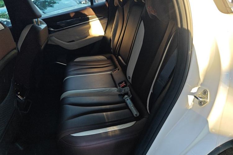 Used Geely Auto Monjaro L 2021 2.0TD DCT EVO Two-Wheel Drive Prestige Version Left Rear Seat
