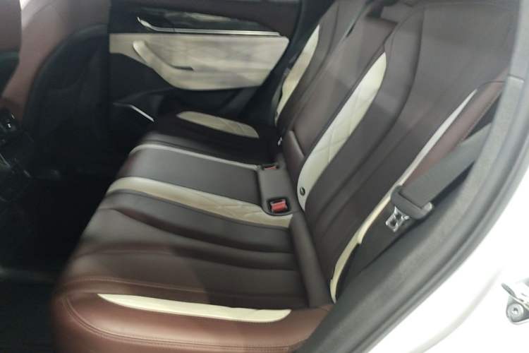 Used Geely Auto Monjaro L 2021 2.0TD DCT EVO Two-Wheel Drive Prestige Version Left Rear Seat