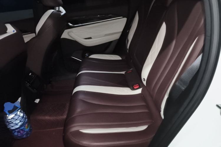 Used Geely Auto Monjaro L 2021 2.0TD High-Power Automatic All-Wheel-Drive Flagship Version Left Rear Seat