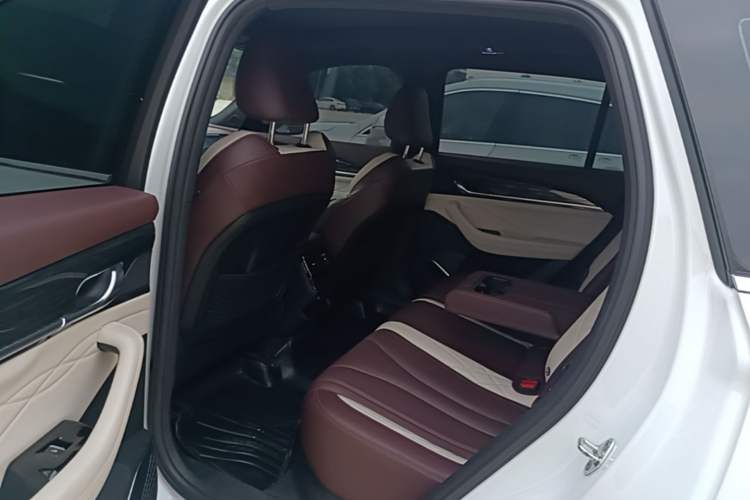 Used Geely Auto Monjaro L 2021 2.0TD DCT EVO Two-Wheel Drive Prestige Version Left Rear Seat