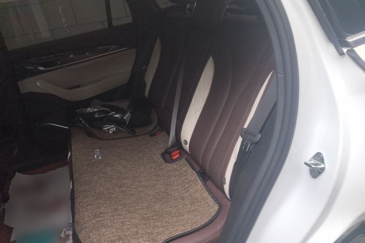Used Geely Auto Monjaro L 2021 2.0TD DCT EVO Two-Wheel Drive Prestige Version Left Rear Seat