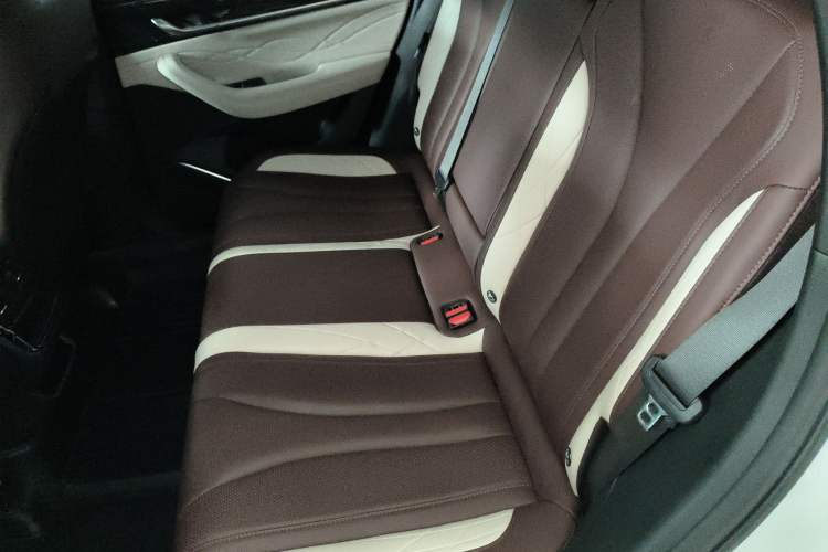 Used Geely Auto Monjaro L 2021 2.0TD DCT EVO Two-Wheel Drive Prestige Version Left Rear Seat