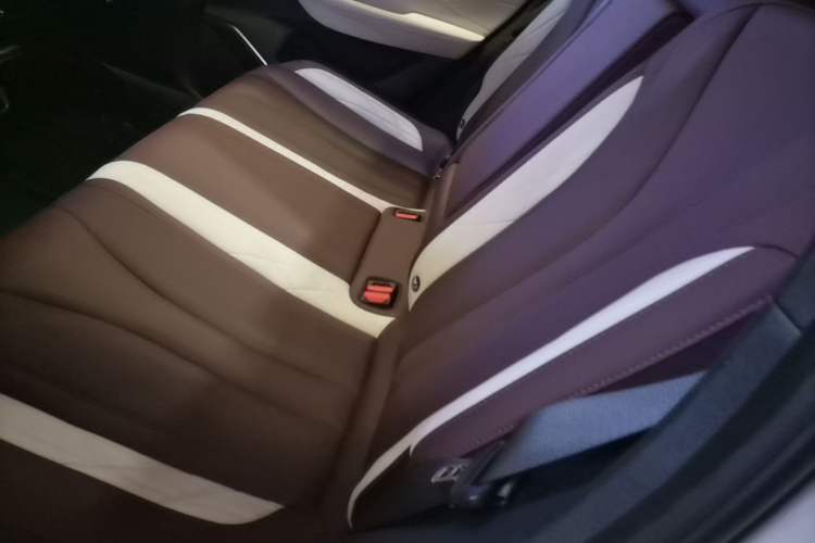 Used Geely Auto Monjaro L 2021 2.0TD DCT EVO Two-Wheel Drive Prestige Version Left Rear Seat