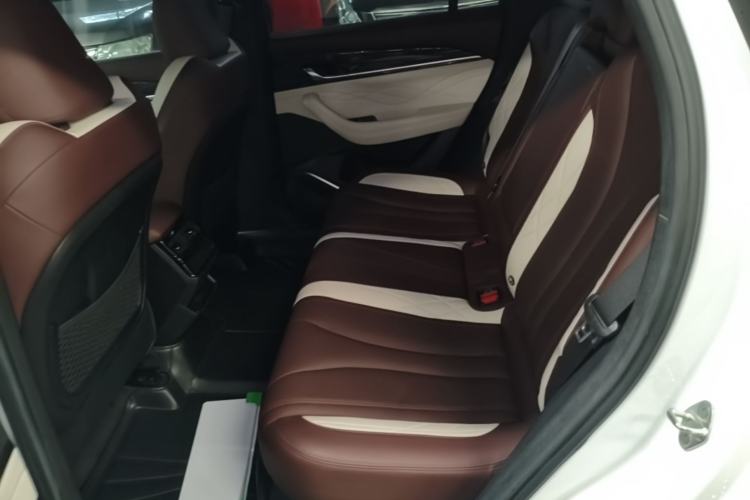 Used Geely Auto Monjaro L 2021 2.0TD DCT EVO Two-Wheel Drive Prestige Version Left Rear Seat