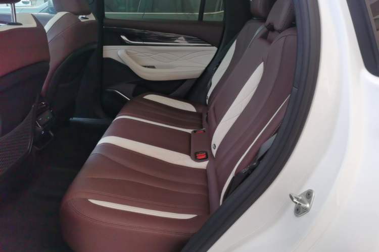 Used Geely Auto Monjaro L 2021 2.0TD DCT EVO Two-Wheel Drive Smart Luxury Version Left Rear Seat