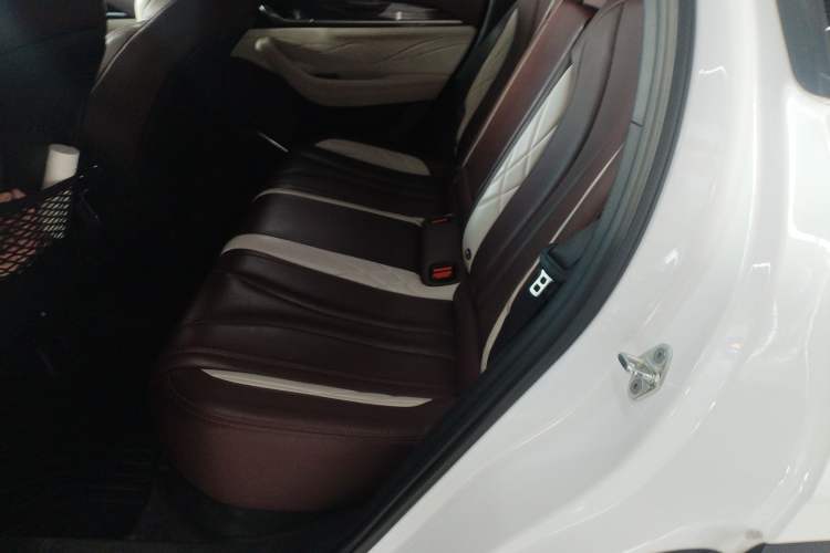 Used Geely Auto Monjaro L 2021 2.0TD High-Power Automatic All-Wheel Drive Luxury Version Left Rear Seat