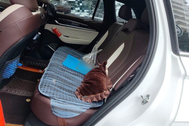 Used Geely Auto Monjaro L 2021 2.0TD DCT EVO Two-Wheel Drive Prestige Version Left Rear Seat