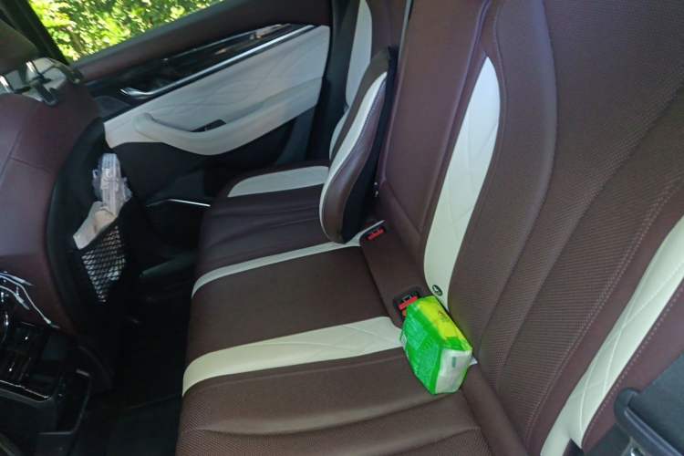 Used Geely Auto Monjaro L 2021 2.0TD DCT EVO Two-Wheel Drive Smart Luxury Version Left Rear Seat
