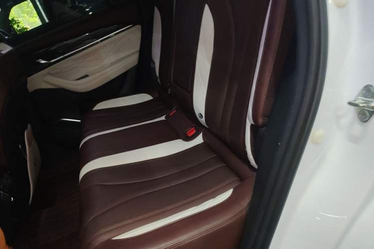 Used Geely Auto Monjaro L 2021 2.0TD High-Power Automatic All-Wheel-Drive Flagship Version Left Rear Seat
