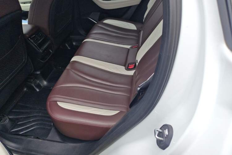Used Geely Auto Monjaro L 2021 2.0TD DCT EVO Two-Wheel Drive Prestige Version Left Rear Seat