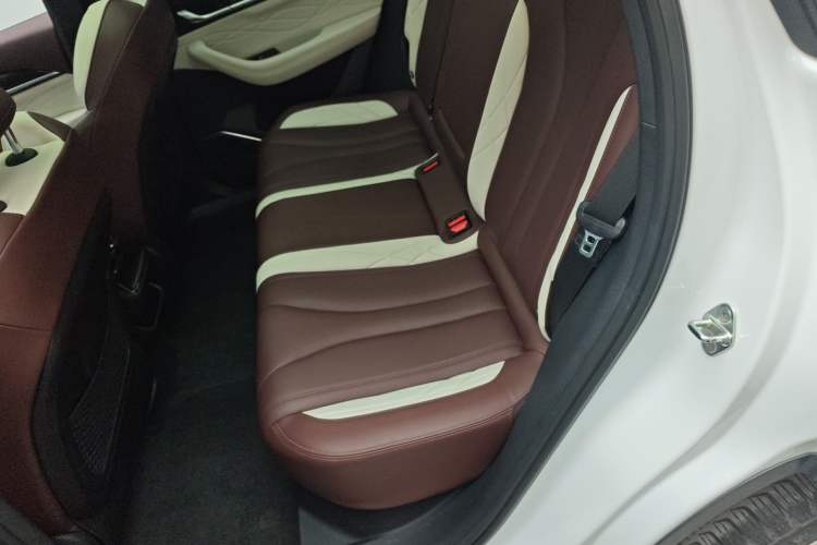 Used Geely Auto Monjaro L 2021 2.0TD DCT EVO Two-Wheel Drive Prestige Version Left Rear Seat