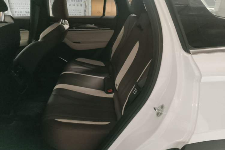 Used Geely Auto Monjaro L 2021 2.0TD DCT EVO Two-Wheel Drive Prestige Version Left Rear Seat