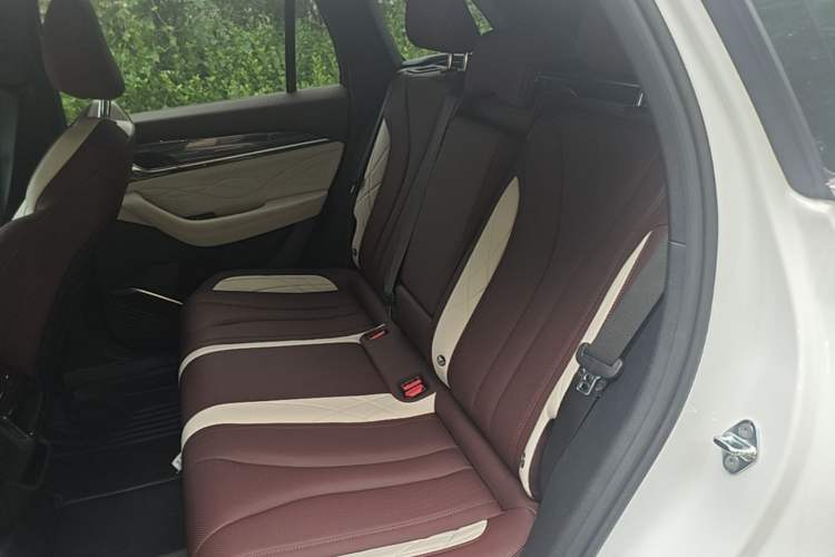 Used Geely Auto Monjaro L 2021 2.0TD DCT EVO Two-Wheel Drive Prestige Version Left Rear Seat