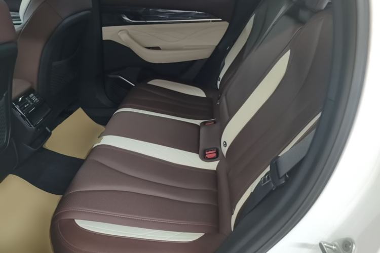 Used Geely Auto Monjaro L 2021 2.0TD DCT EVO Two-Wheel Drive Prestige Version Left Rear Seat