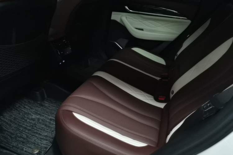Used Geely Auto Monjaro L 2021 2.0TD High-Power Automatic All-Wheel-Drive Flagship Version Left Rear Seat