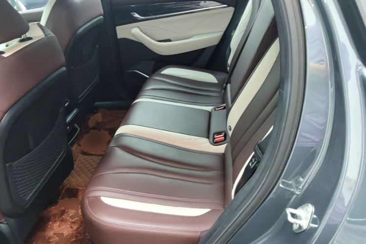 Used Geely Auto Monjaro L 2021 2.0TD DCT EVO Two-Wheel Drive Prestige Version Left Rear Seat