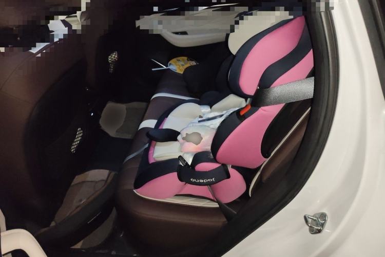 Used Geely Auto Monjaro L 2021 2.0TD DCT EVO Two-Wheel Drive Prestige Version Left Rear Seat