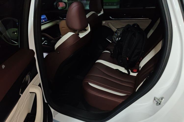 Used Geely Auto Monjaro L 2021 2.0TD DCT EVO Two-Wheel Drive Prestige Version Left Rear Seat