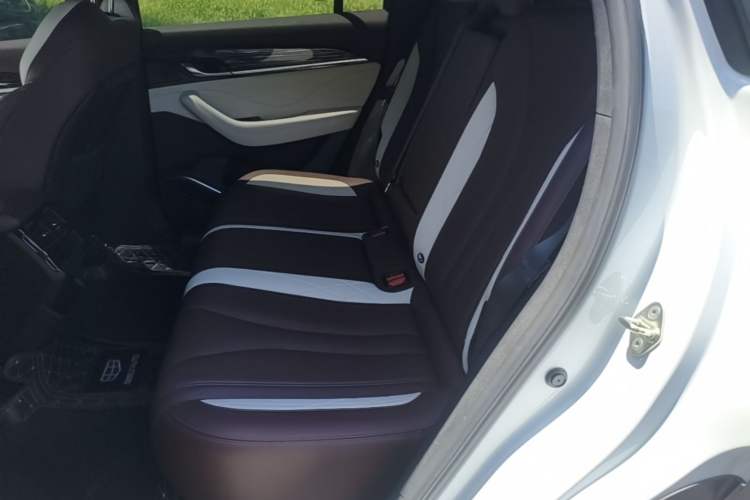 Used Geely Auto Monjaro L 2021 2.0TD DCT EVO Two-Wheel Drive Prestige Version Left Rear Seat