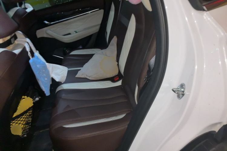 Used Geely Auto Monjaro L 2021 2.0TD DCT EVO Two-Wheel-Drive Flagship Version Left Rear Seat