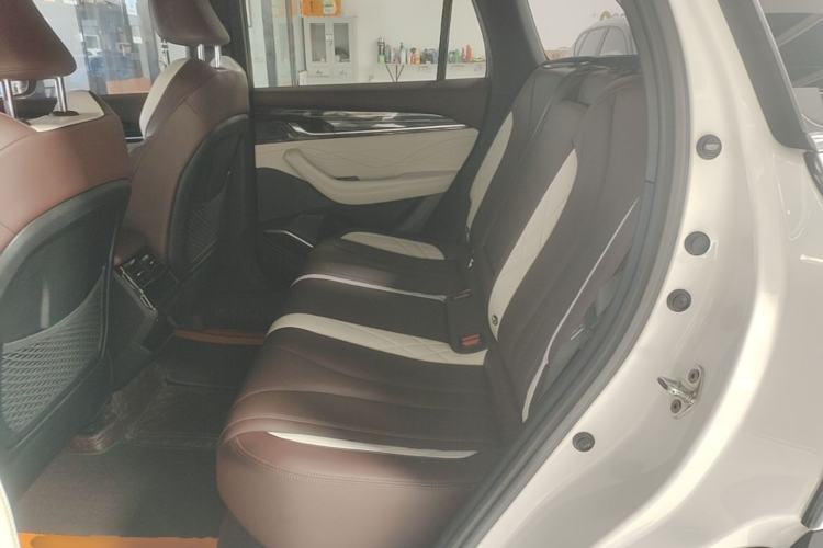 Used Geely Auto Monjaro L 2021 2.0TD DCT EVO Two-Wheel Drive Prestige Version Left Rear Seat