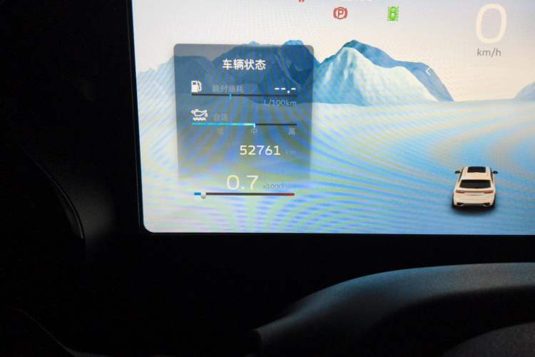 Used Geely Auto Monjaro L 2021 2.0TD DCT EVO Two-Wheel Drive Smart Luxury Version Odometer Close Up