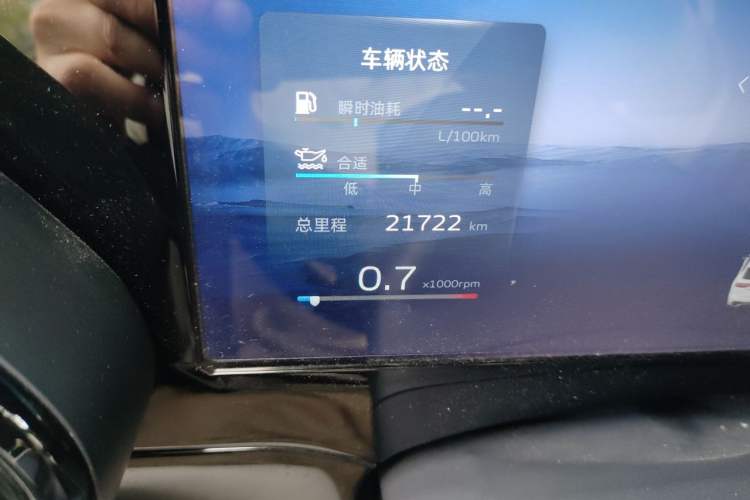 Used Geely Auto Monjaro L 2021 2.0TD DCT EVO Two-Wheel Drive Prestige Version Odometer Close Up