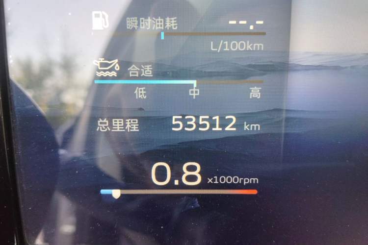 Used Geely Auto Monjaro L 2021 2.0TD DCT EVO Two-Wheel Drive Prestige Version Odometer Close Up