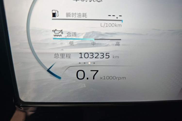 Used Geely Auto Monjaro L 2021 2.0TD DCT EVO Two-Wheel Drive Luxury Version Odometer Close Up