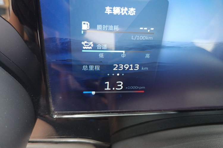Used Geely Auto Monjaro L 2021 2.0TD High-Power Automatic All-Wheel Drive Luxury Version Odometer Close Up
