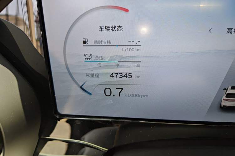 Used Geely Auto Monjaro L 2021 2.0TD DCT EVO Two-Wheel Drive Prestige Version Odometer Close Up