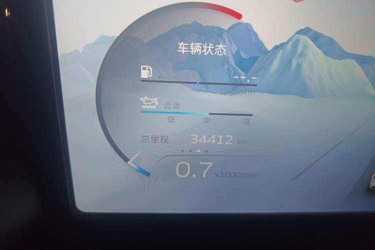 Used Geely Auto Monjaro L 2021 2.0TD DCT EVO Two-Wheel Drive Prestige Version Odometer Close Up